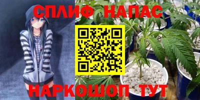 стафф Тверь