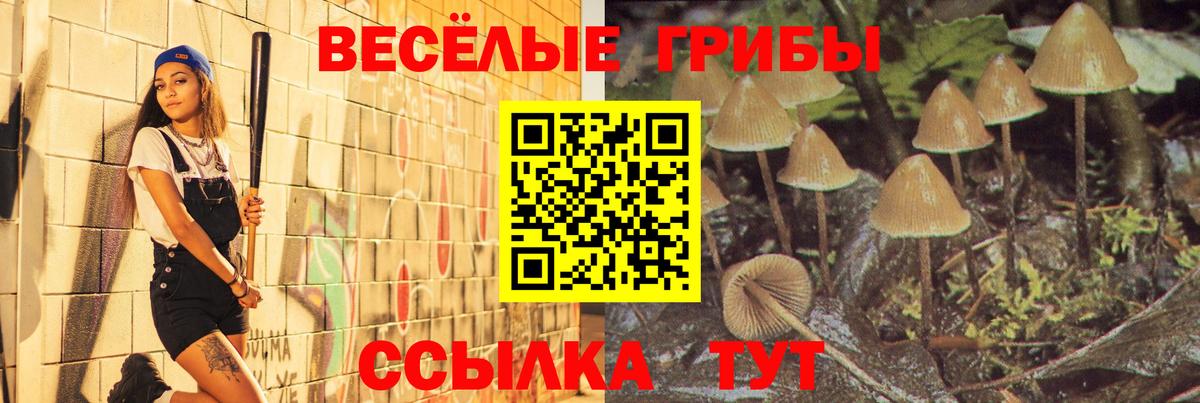 Норильск  Cocaine  МЕТАМФЕТАМИН  КОКАИН  Меф   Вход с VPN  Марихуана  ГАШИШ 