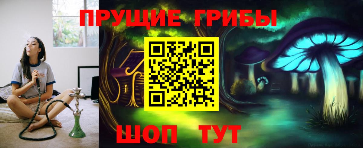 Норильск  Галлюциногенные грибы GOLDEN TEACHER  где можно купить наркотик  Вход с VPN  Галлюциногенные грибы мухоморы 